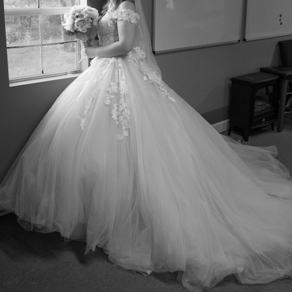 Eddy K Ballgown Wedding Dress